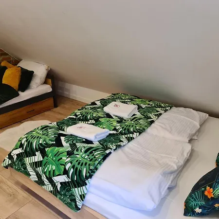 Apartment Ptasia Ostoja - 5d Swieradow-Zdroj