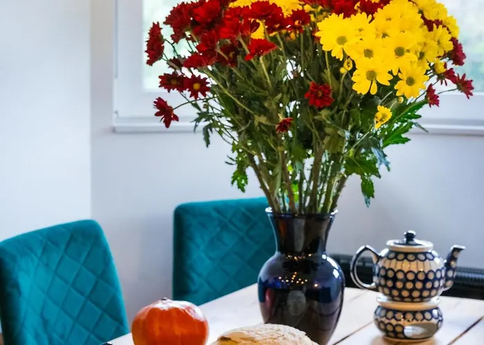 Appartamento Ostoja Bad-flinsberg - 5d Świeradów-Zdrój